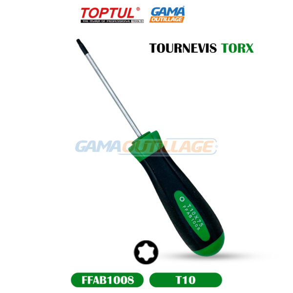 TOURNEVIS TORX T10 TOPTUL
