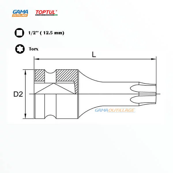 DOUILLE 1/2 TORX A CHOC TOPTUL prix Algérie