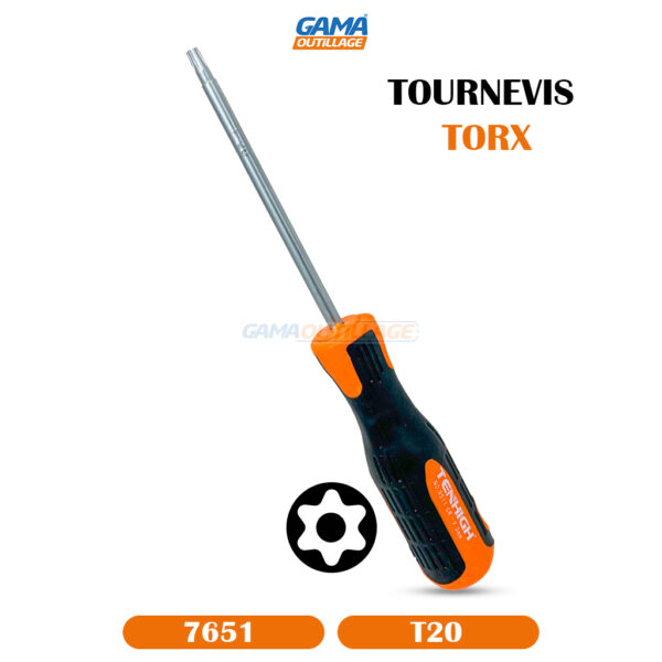 TOURNEVIS TORX TROUE T20 TA