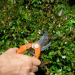 SECATEUR A LAME CROISANTE 23CM P121 BAHCO – Image 7